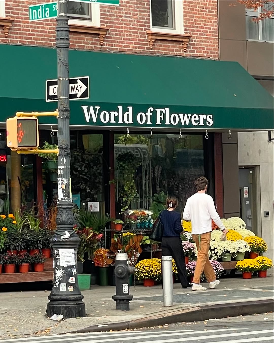 Flower