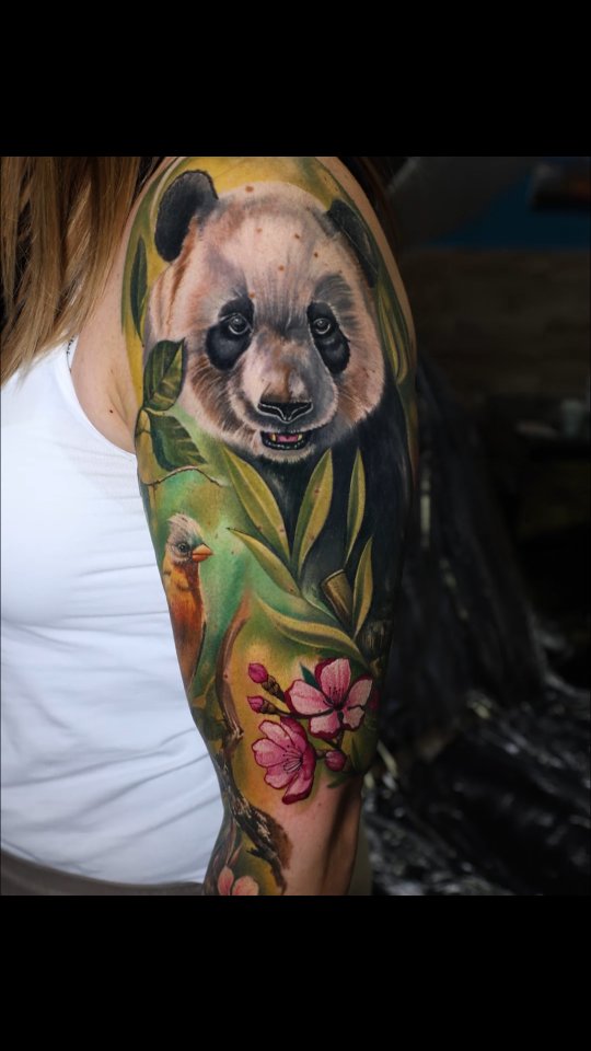 판다, 나무늘보, Animal