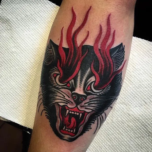 Tiger, Animal