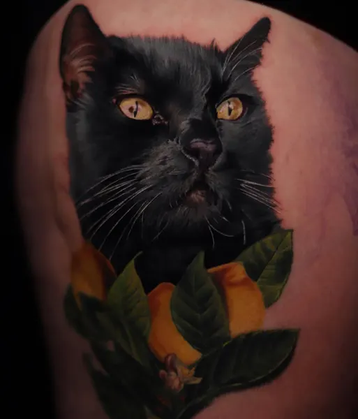 Animal