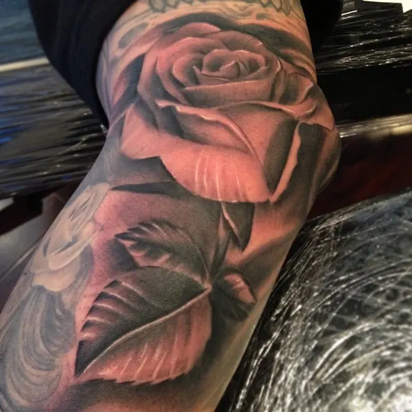 Flower, Rose