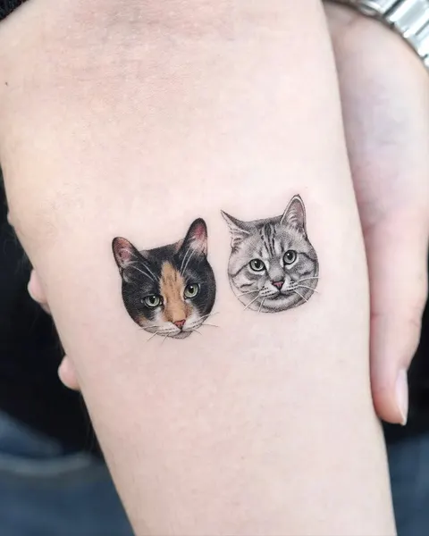 고양이