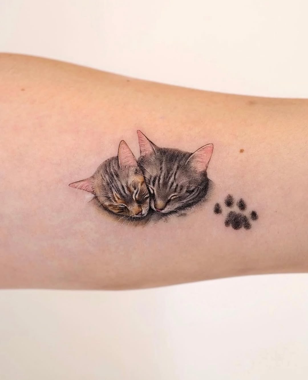 paw.tattoo