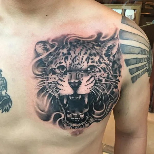Animal, Tiger