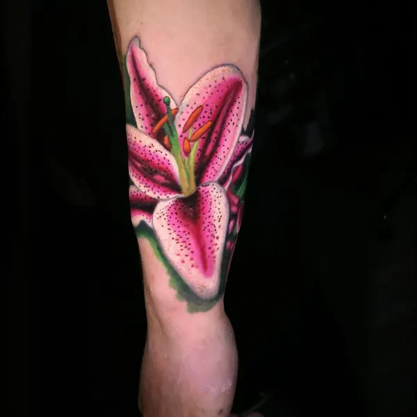 Flower, 난초, 튤립