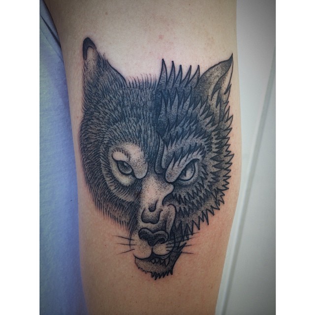 Animal, Tiger