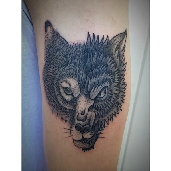 Animal, Tiger