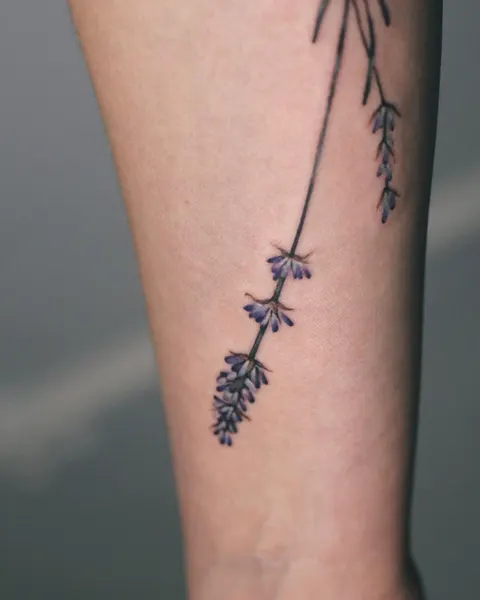 Flower, 라벤더