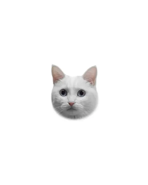 텐구, 고양이, 여우 가면, 마네키네코