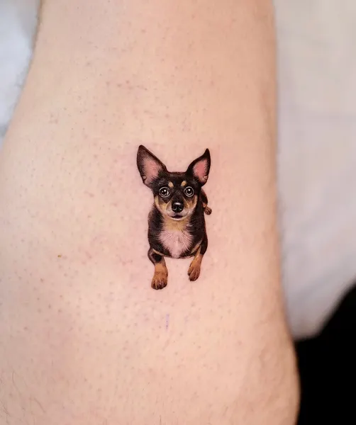 반려동물, Mini