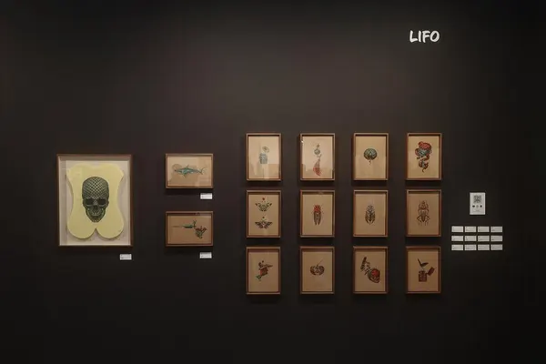 Skull