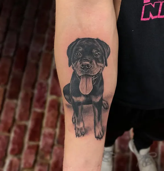 Animal