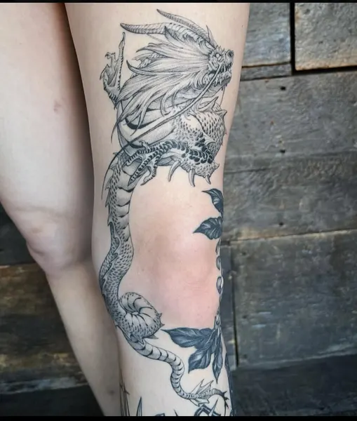 Dragon, 세이렌