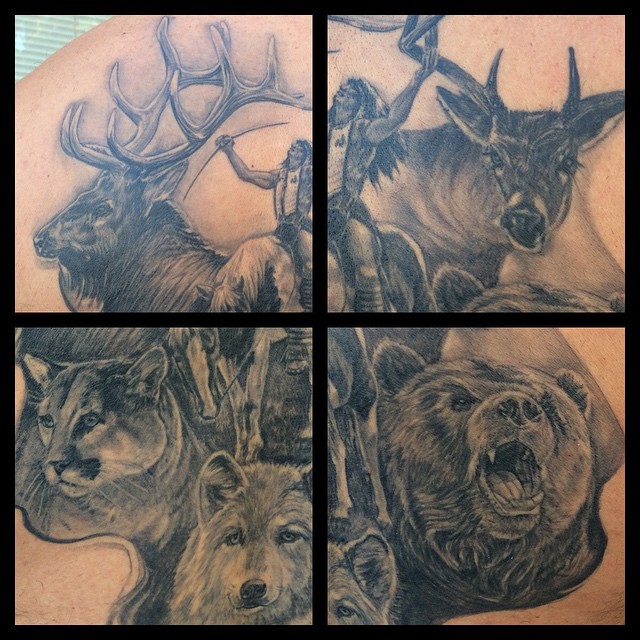 Animal