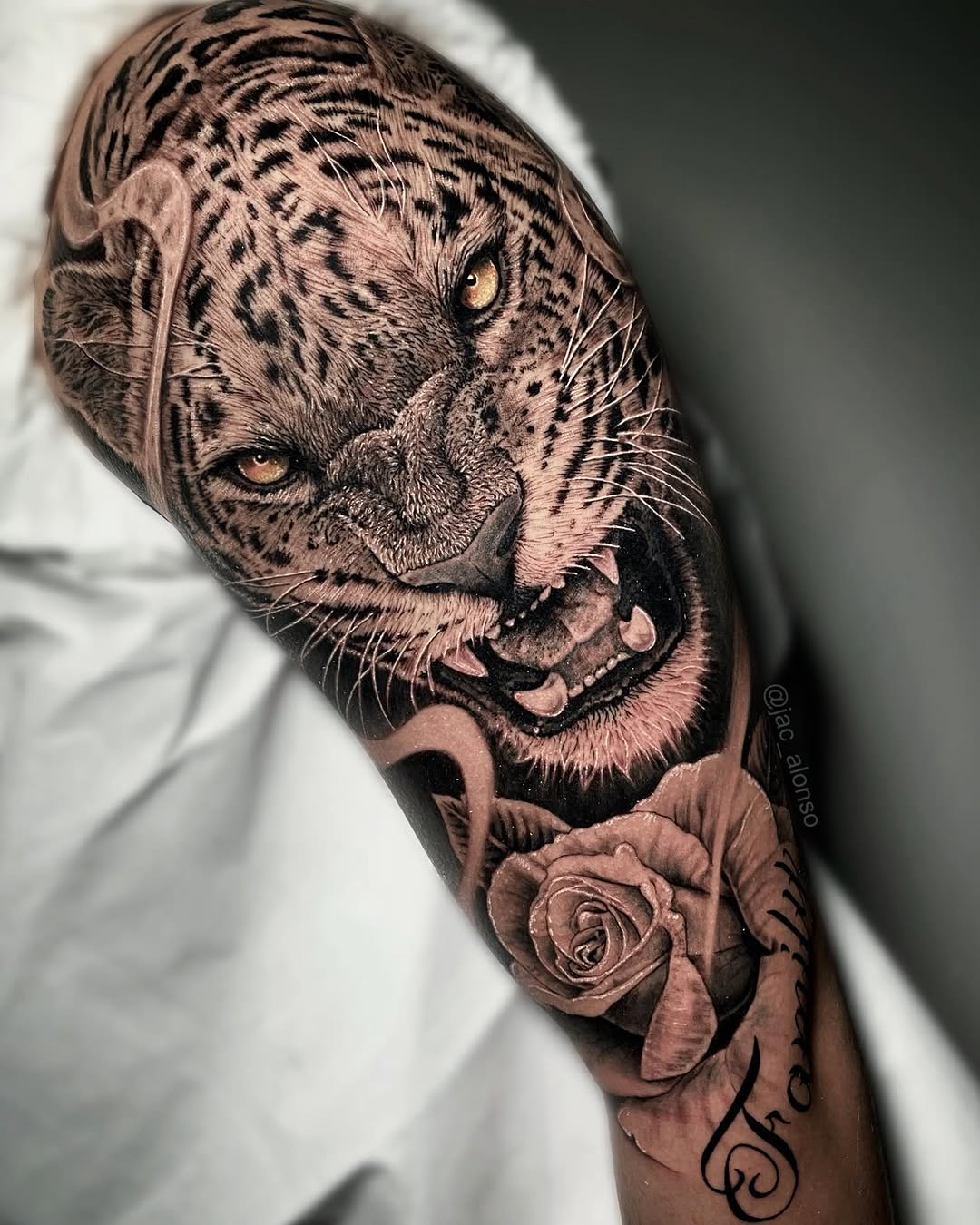 Animal, 표범, 재규어