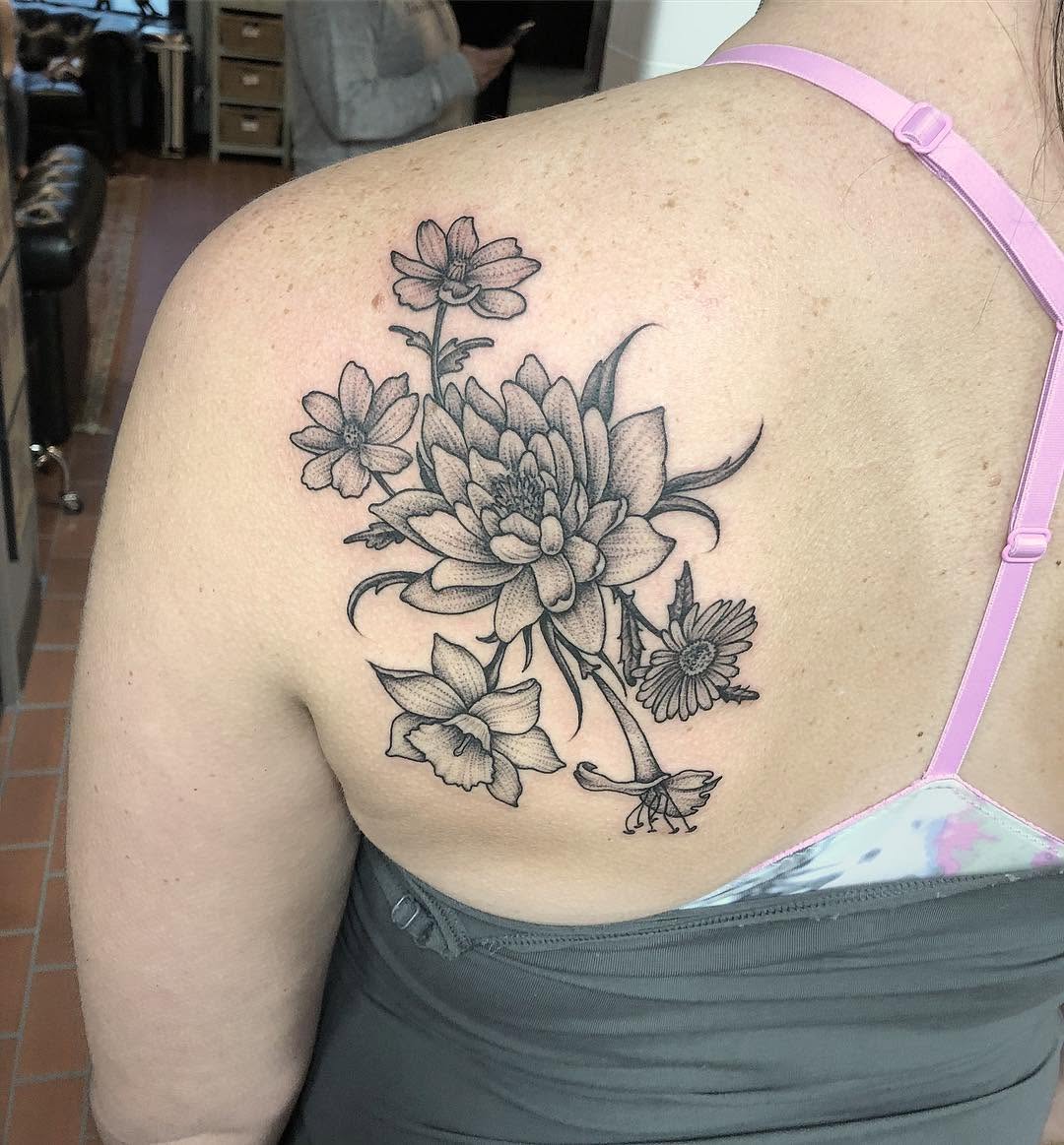 Flower, Nature, Rose