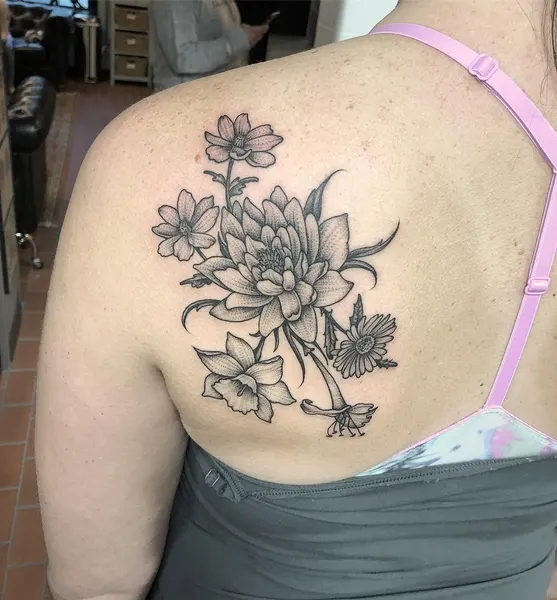 Flower, Nature, Rose