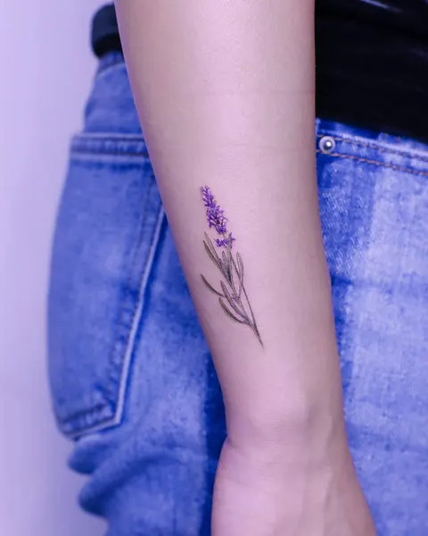 Mini, 이레즈미