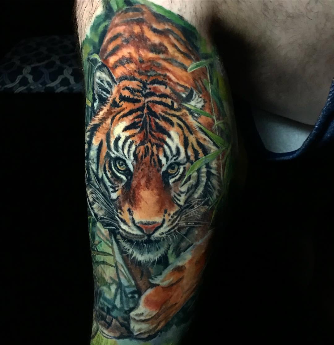 Tiger, 중국 호랑이, 한국 호랑이, 일본 호랑이
