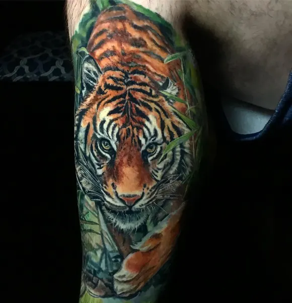 Tiger, 중국 호랑이, 한국 호랑이, 일본 호랑이