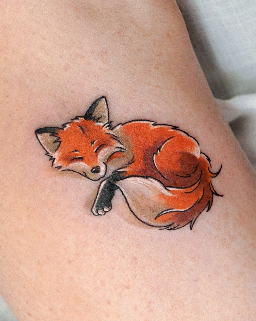 Animal, 여우