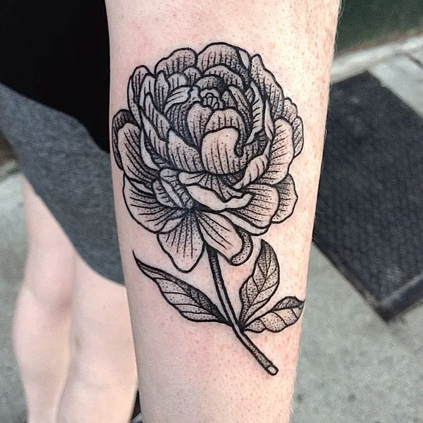 Flower, Rose