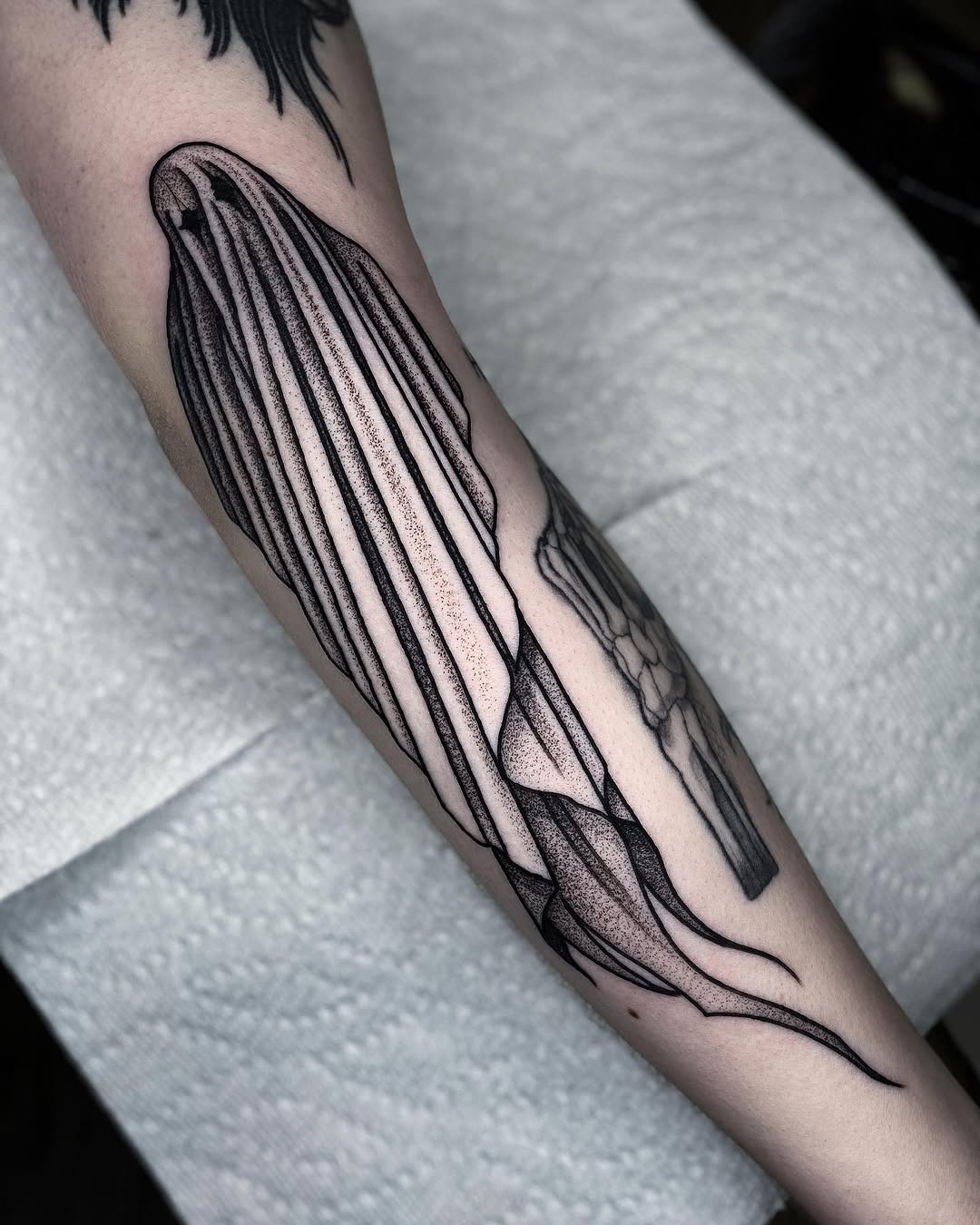 black_casket