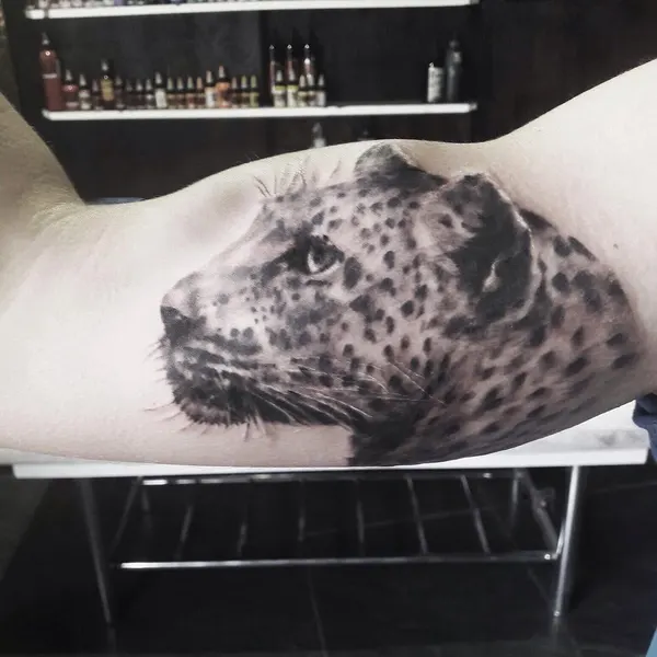 Animal, 표범, 재규어