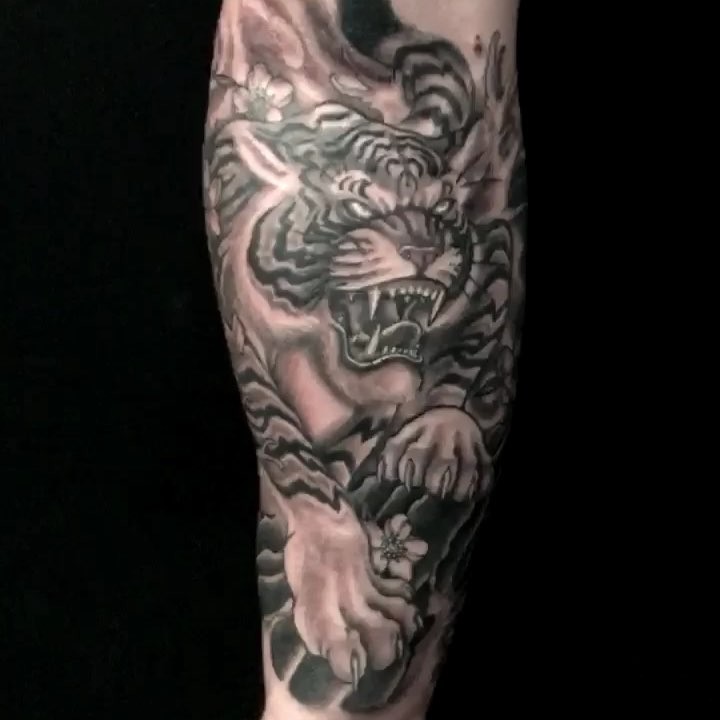 Tiger