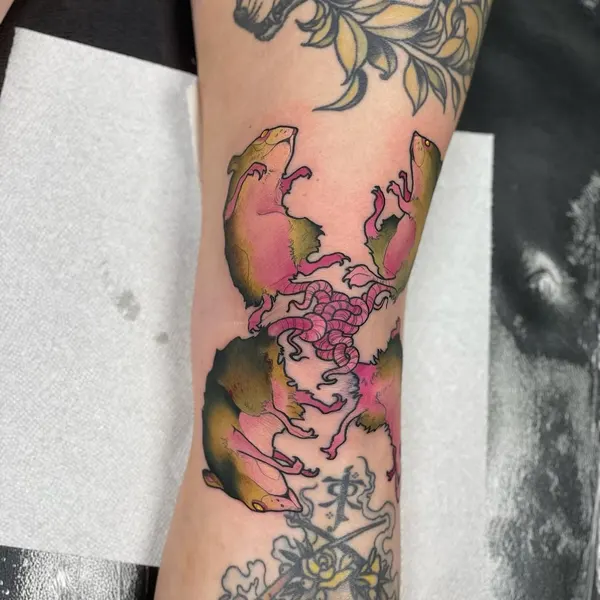 Dragon
