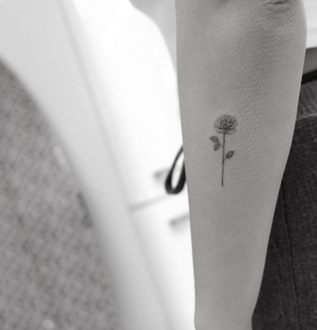 Flower, Rose