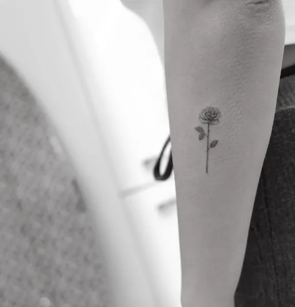 Flower, Rose