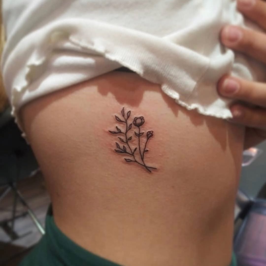 잎, 허브, 고사리, 단풍잎, 은행잎, 탄생화, 나뭇가지, 올리브 가지, 덩굴, Nature