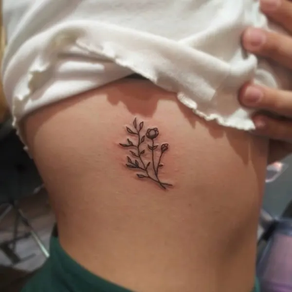 잎, 허브, 고사리, 단풍잎, 은행잎, 탄생화, 나뭇가지, 올리브 가지, 덩굴, Nature