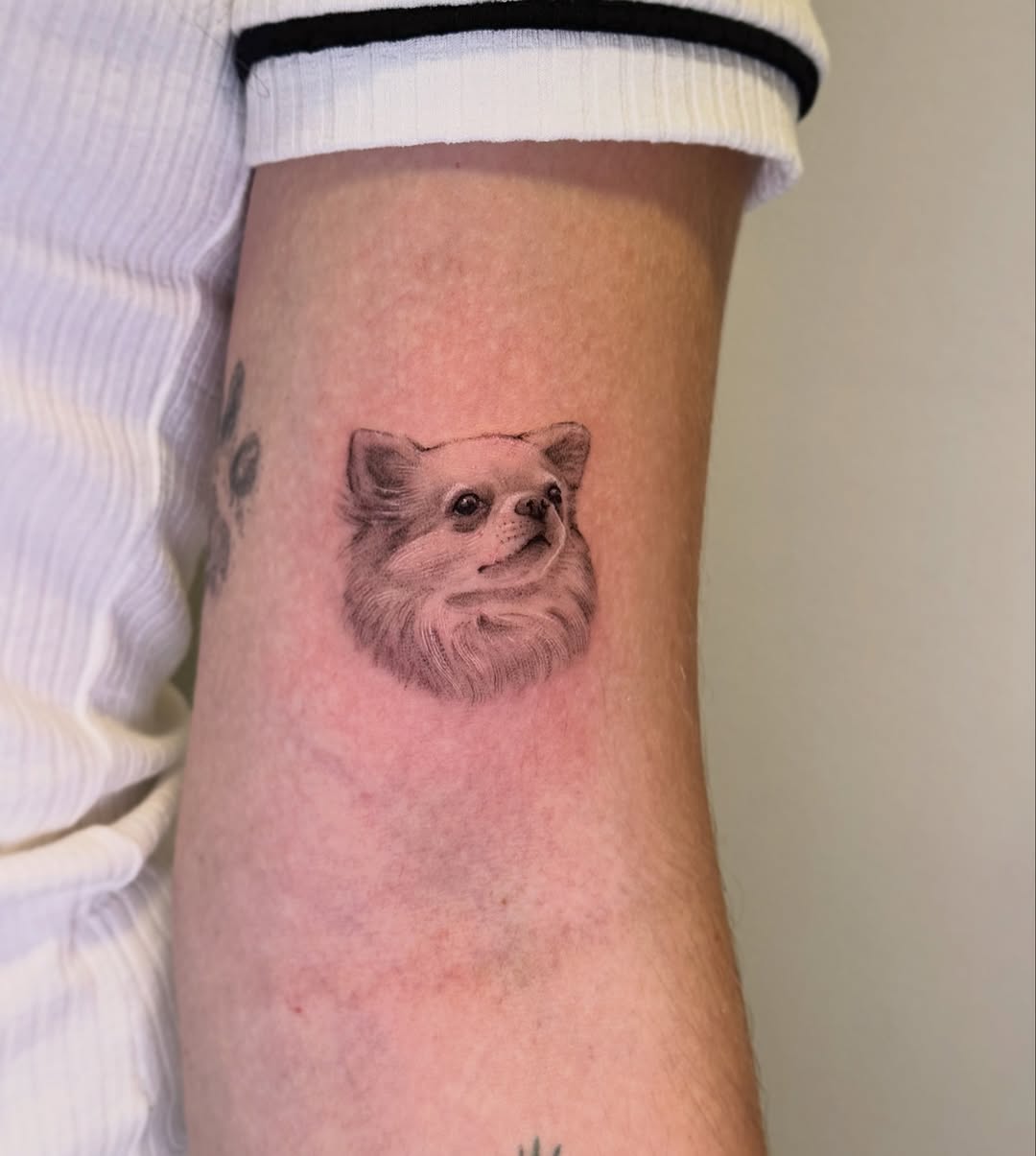 lcjuniortattoo