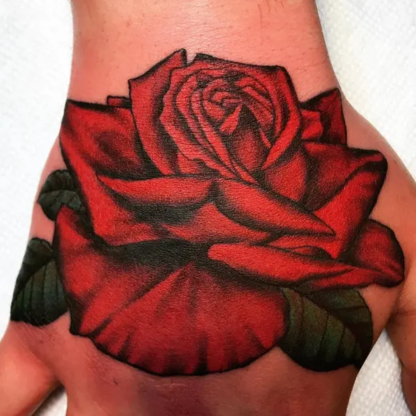 Flower, Rose