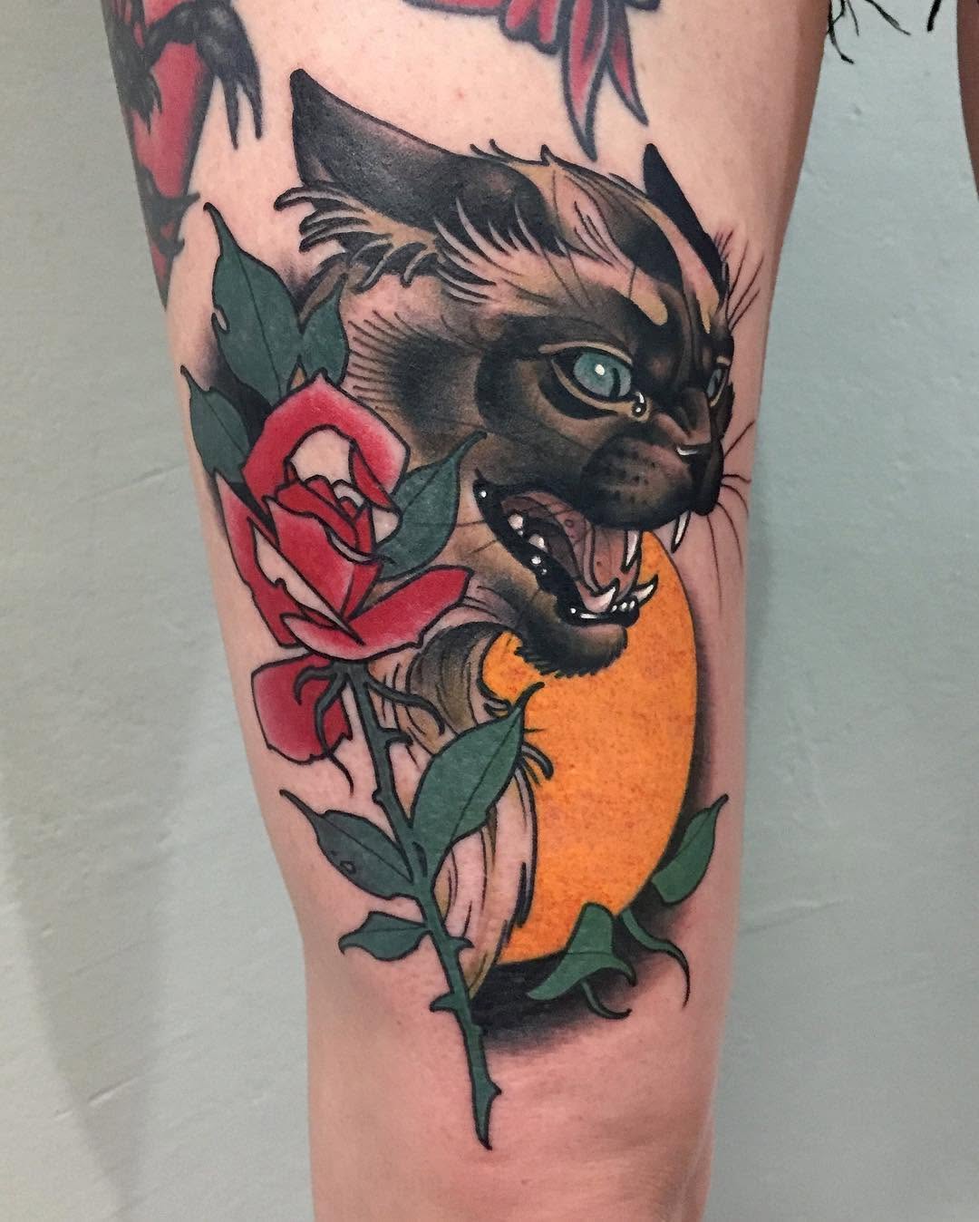 Tiger, Animal