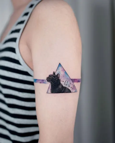 Animal, 산, 화산