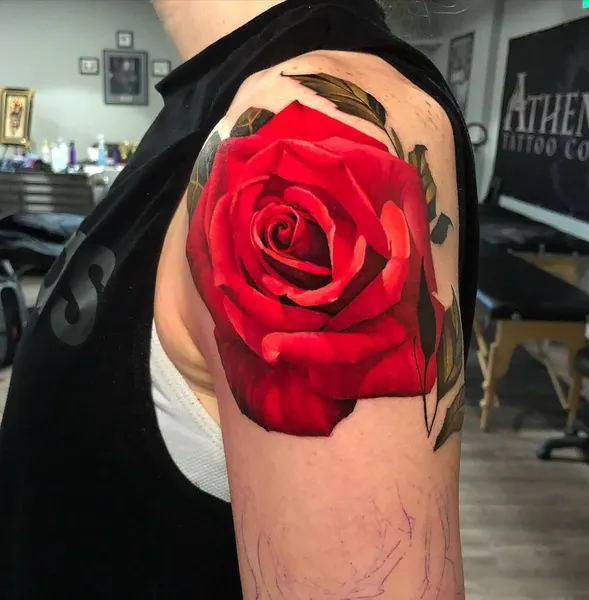 Flower, Rose, Nature