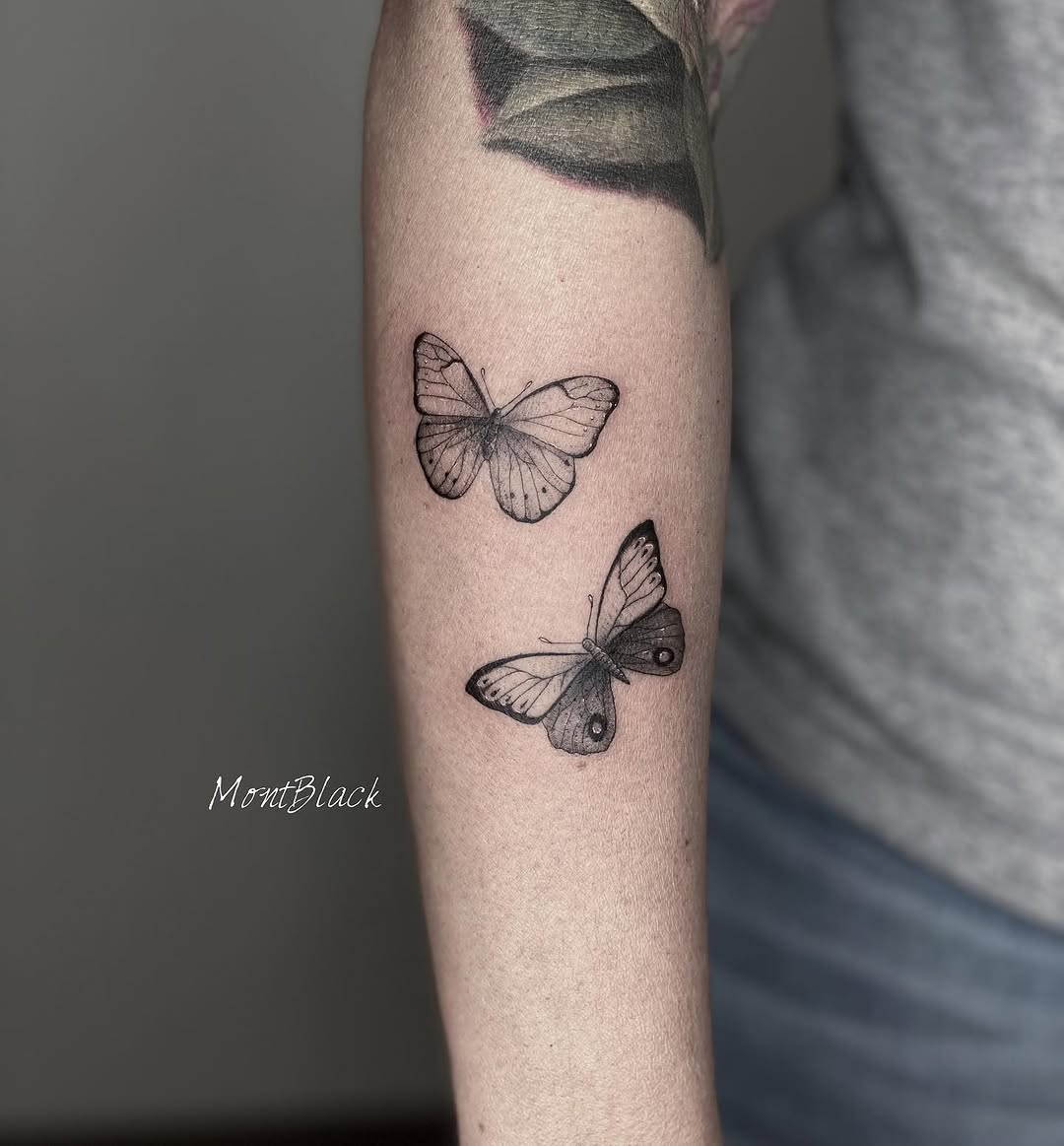 Animal, Nature, 나비