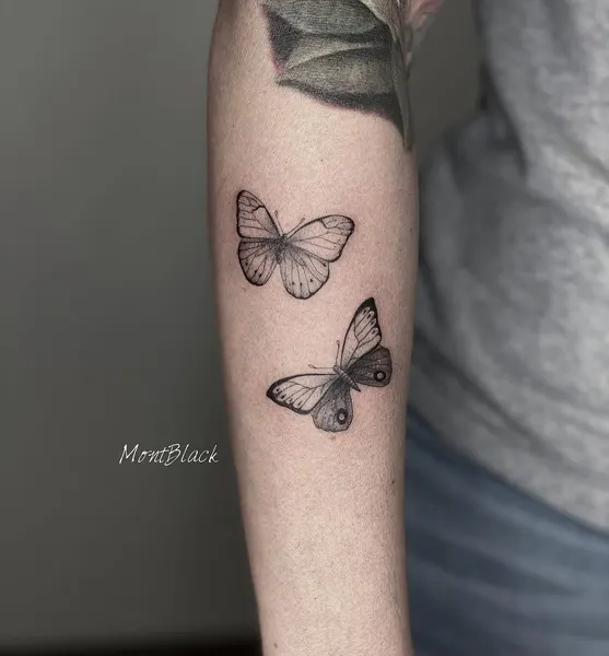 Animal, Nature, 나비