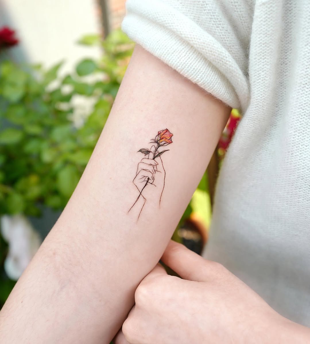Flower, Rose
