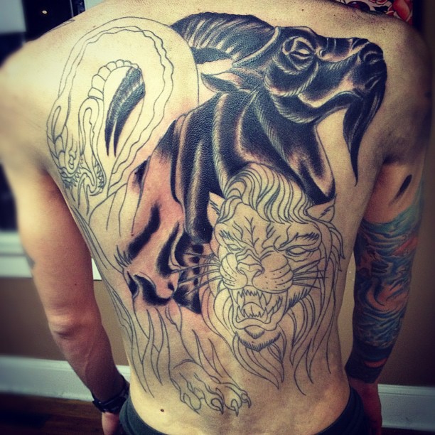 Tiger