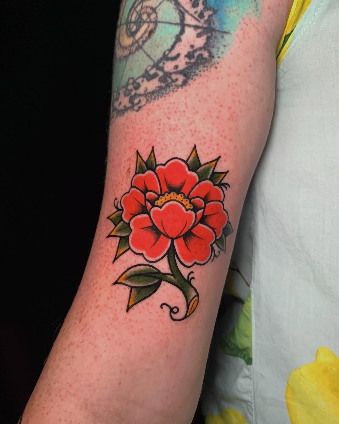 Flower, Rose
