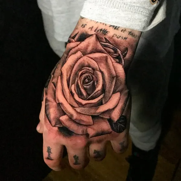 Flower, Rose