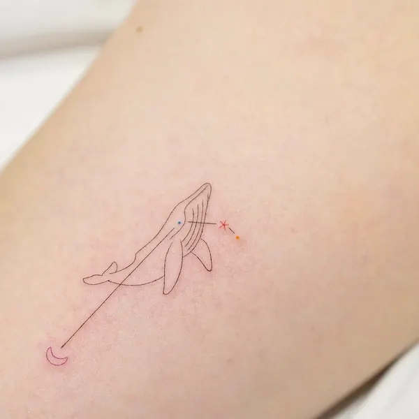 상어, 고래, 조개, 해마, 돌고래, 바다, 잉어, 물병자리, 물고기자리