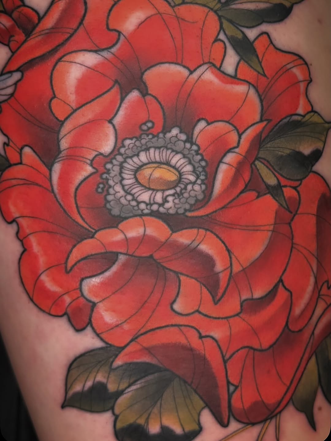 Rose, Flower