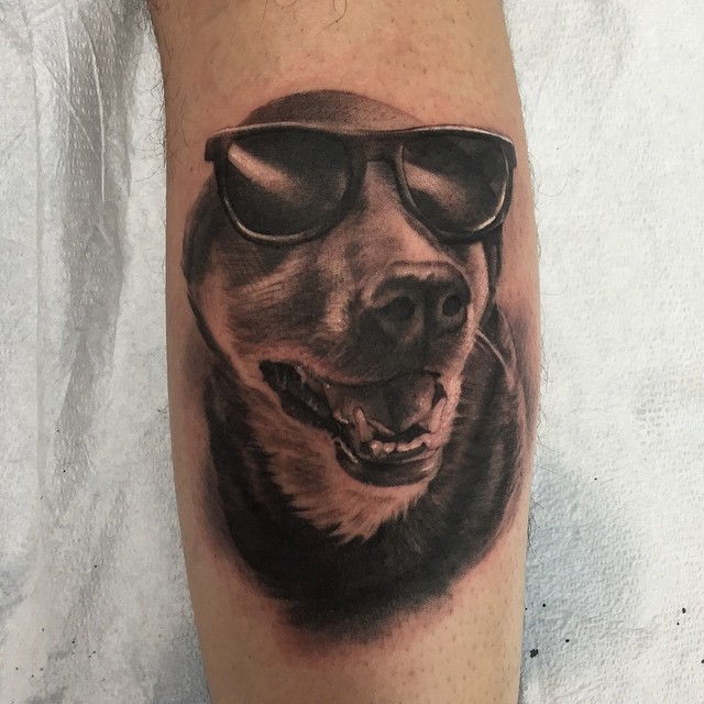 Animal