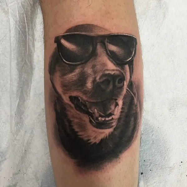 Animal