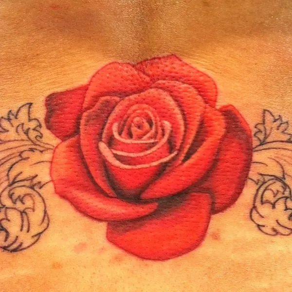 Flower, Rose, Nature